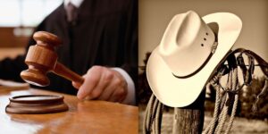 Imagem ilustrativa de Tribunal e chapéu sertanejo em colagem - Foto Reprodução Internet