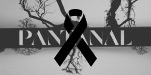 Logotipo da novela Pantanal e um laço preto em luto (Reprodução - Globo)