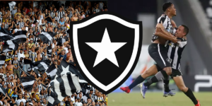 Botafogo perde jogador (Foto: Reprodução, Montagem, TV Foco)