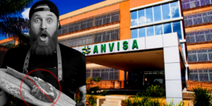 Imagem card com fundo