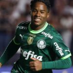 Endrick, foi jogador da base do Palmeiras que subiu para o time profissional (Imagem Reprodução Internet)
