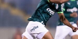 Jogador chega ao Palmeiras para substituir craque do elenco (Imagem Reprodução Internet)