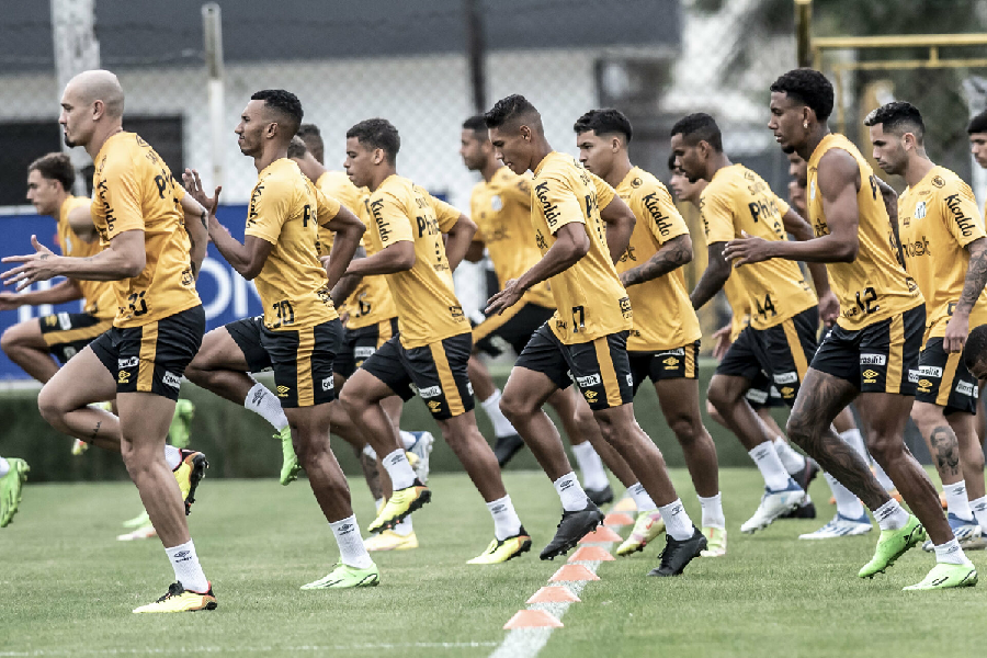 Time do Santos treinando (Foto: Reprodução/ Internet)