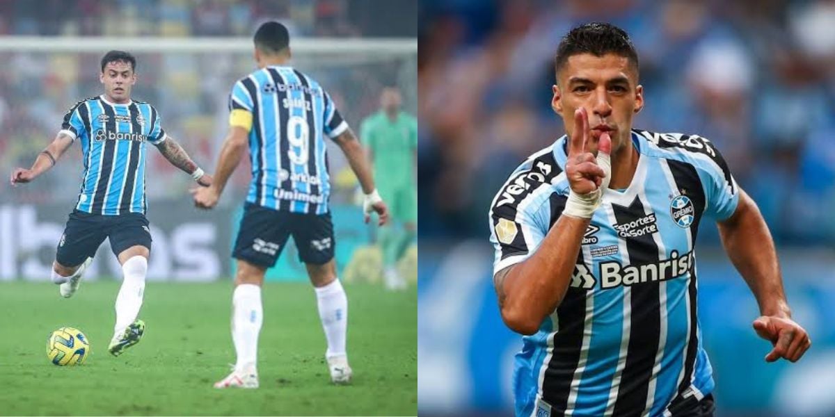 Grêmio se prepara para próxima rodada do Brasileirão (Foto - Montagem TV Foco).
