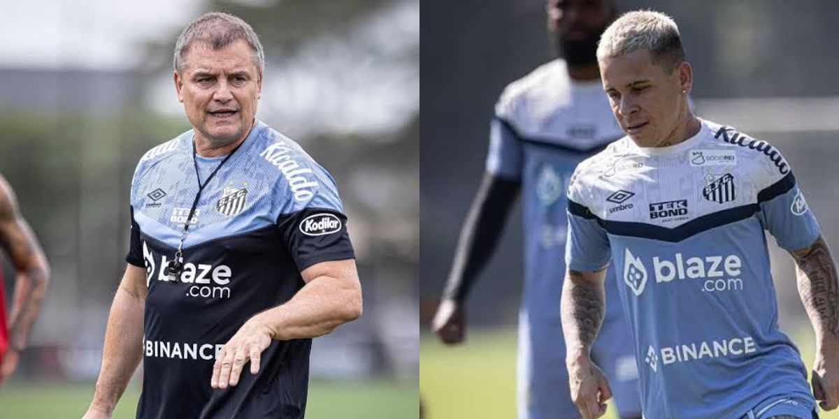 Santos se prepara para próxima rodada do Brasileirão (Foto - Montagem TV Foco).