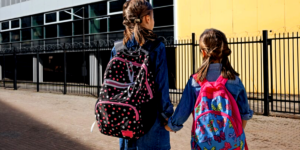 Escolas serão fechadas nesta data em cidade brasileira e motivo é revelado (Foto Reprodução/Montagem/Tv Foco)