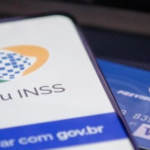Aplicativo Meu INSS (Reprodução/Internet)