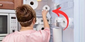 Donas de casa estão usando papel higiênico na geladeira  (Foto: Internet)