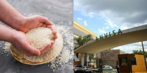 A marca de arroz arrancada dos mercados pela Anvisa (Reprodução: Montagem TV Foco)