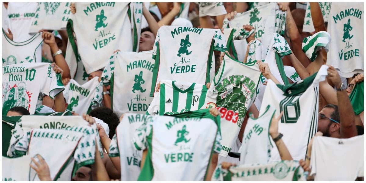 Torcida Mancha Verde - (Foto: Reprodução / Internet)