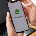 WhatsApp (Reprodução/Internet)