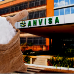Marca de sal famosa tomou proibição da Anvisa após risco à saúde (Foto Reprodução/Montagem/Tv Foco)