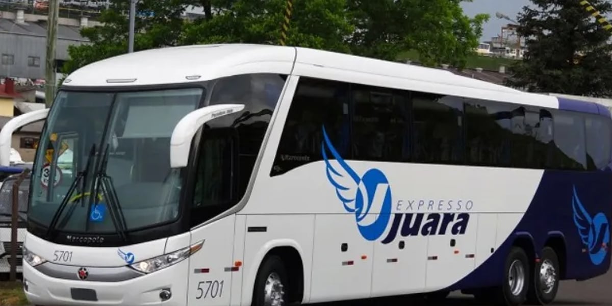 Ônibus de empresa que faz parte do Grupo Fashion Tur Viagens e Turismo (Foto: Reprodução, Diário do Transporte)