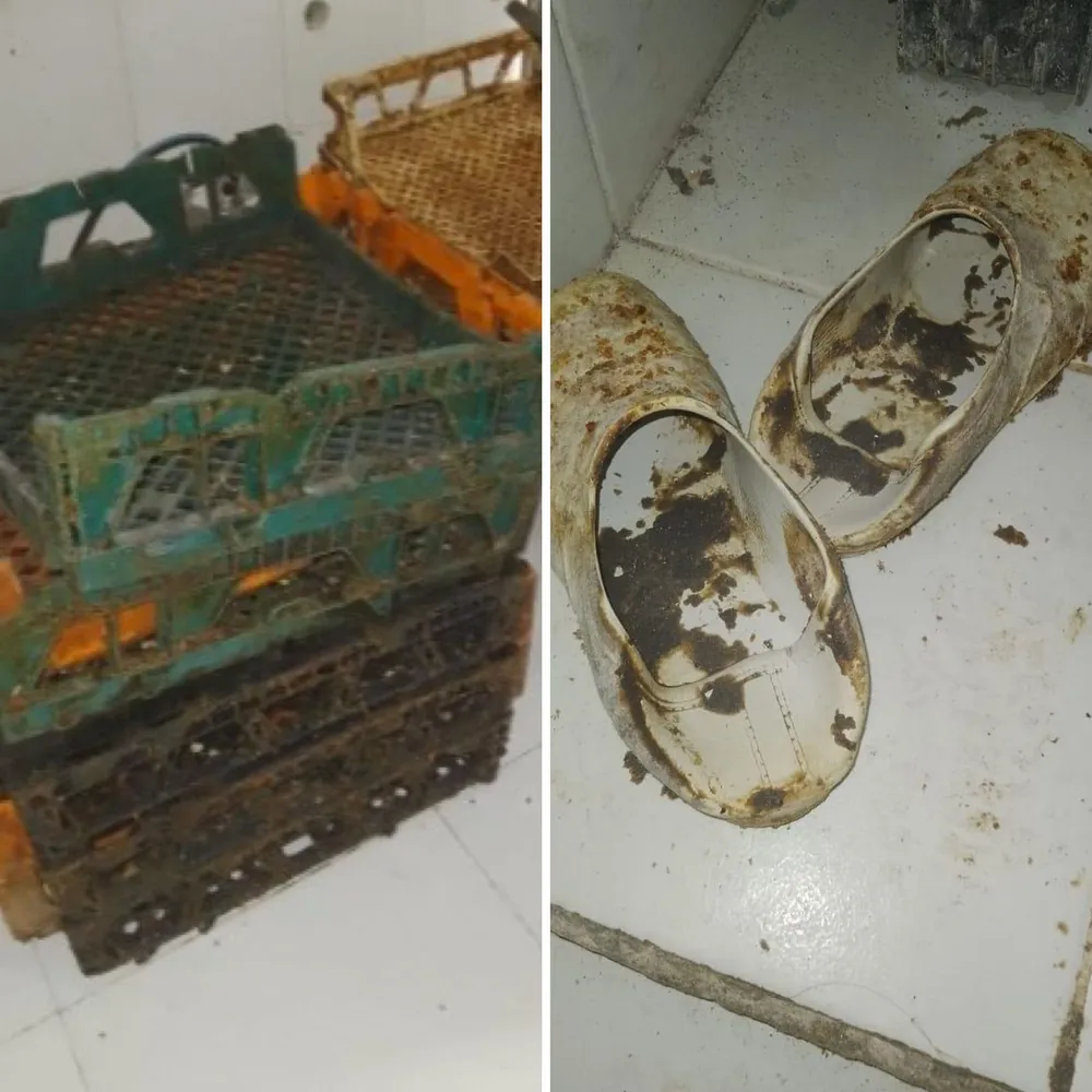 Padaria que foi interditada durante fiscalização da Vigilância Sanitária em Maceió, no estado de Alagoas - Foto Reprodução g1