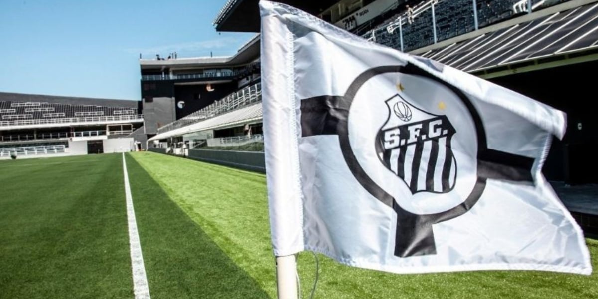 Bandeira do Santos - (Foto: Reprodução / Internet?)