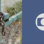 Falência de empresa rural ganhou repercussão na televisão (Foto: Reprodução / TV Globo)
