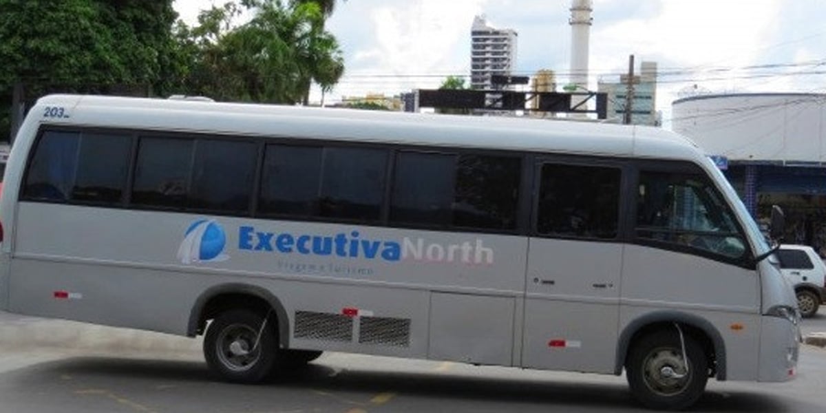 micro-ônibus de empresa que faz parte do Grupo Fashion Tur Viagens e Turismo, que teve falência decretada (Foto: Reprodução, Diário do Transporte)