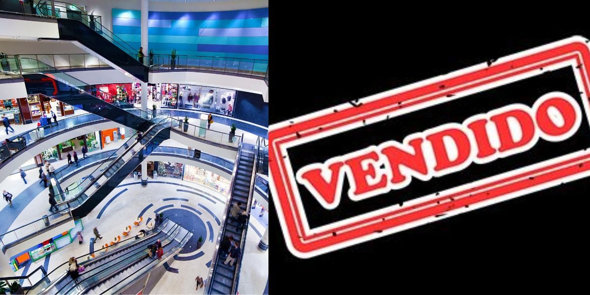 http://tvfoco.uai.com.br/wp-content/uploads/2015/05/Daniela-Mercury.jpg
