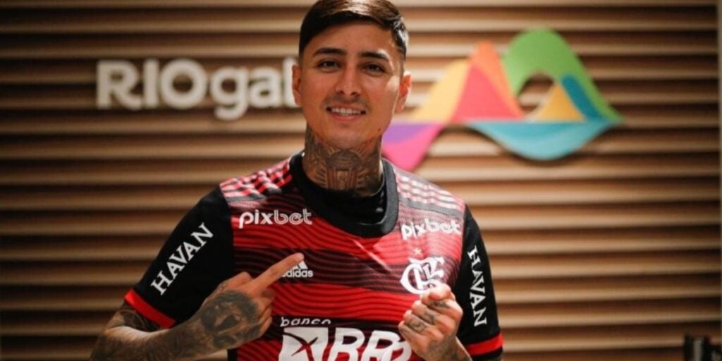 Erick Pulgar (Foto: Reprodução/Divulgação)