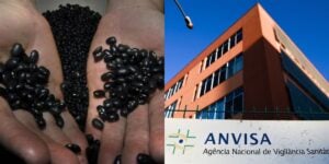 Feijão e ANVISA (Reprodução/Internet)