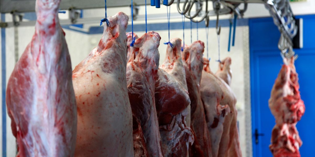 O Frigorífico de Santa Catarina era um dos maiores do Brasil (Reprodução: Internet)