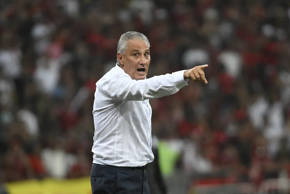 Tite vai ganhar um Flamengo repaginado (Foto: Divulgação)
