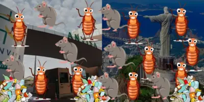 Imagem card com fundo