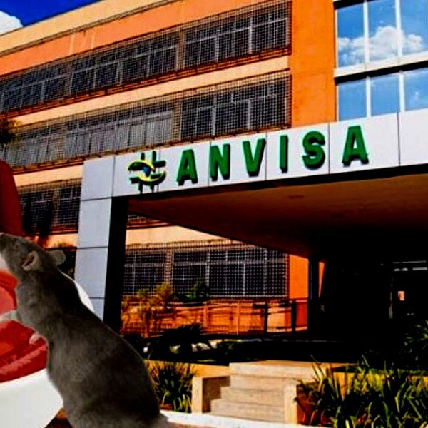 ANVISA Define Limites Para Insetos e Partes de Roedores em Alimentos Consumidos no Brasil