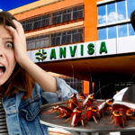4 restaurantes foram lacrados pela ANVISA após denúncia (Foto Reprodução/Montagem/Tv Foco)