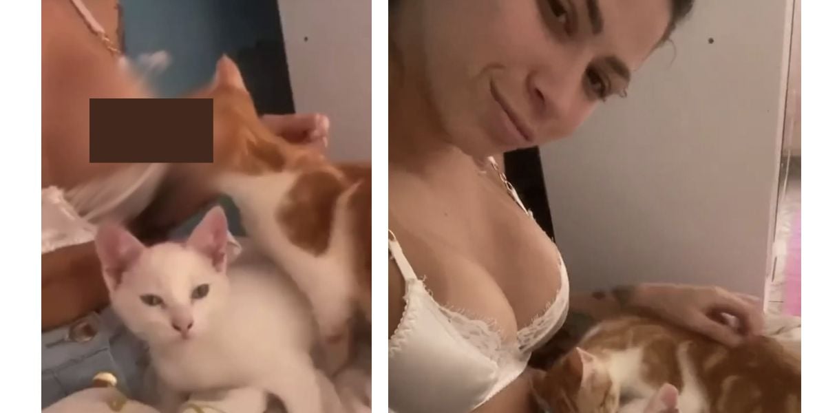 Gato lambendo o seio de Mc Pipoklnha (Foto: Reprodução / redes sociais)