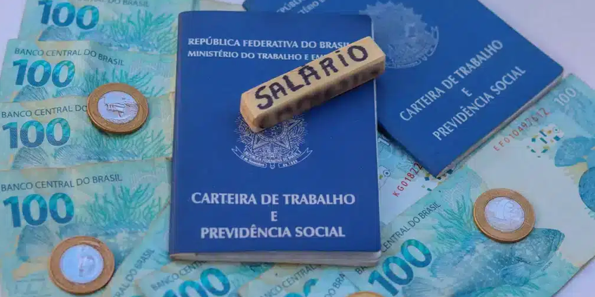 Salário Mínimo (Foto: Reprodução, Pronatec)