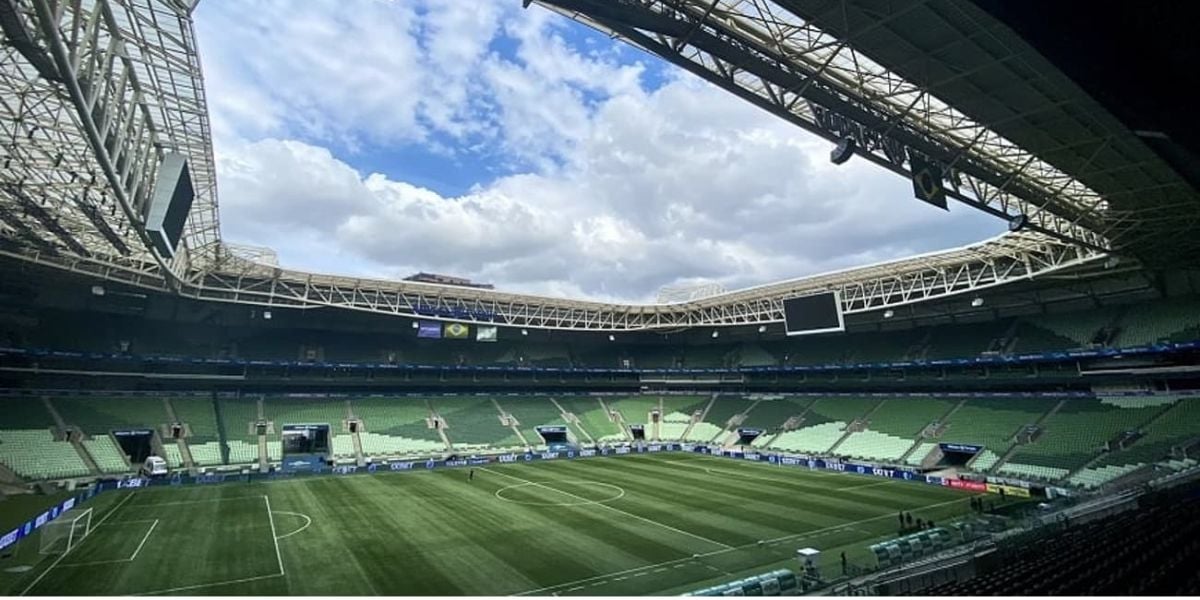 O gramado do Allianz Parque é sintético (Reprodução: Internet)