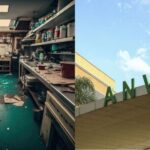 A interdição às pressas da Vigilância Sanitária contra pizzaria amada - Foto: Montagem