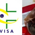 Marcas tradicionais barradas pela Anvisa (Foto: Internet)