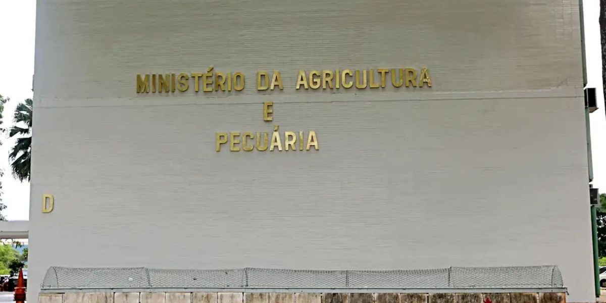 Ministério da Agricultura e Pecuária exigiu a retirada de 10 marcas de azeite (Reprodução: Internet)