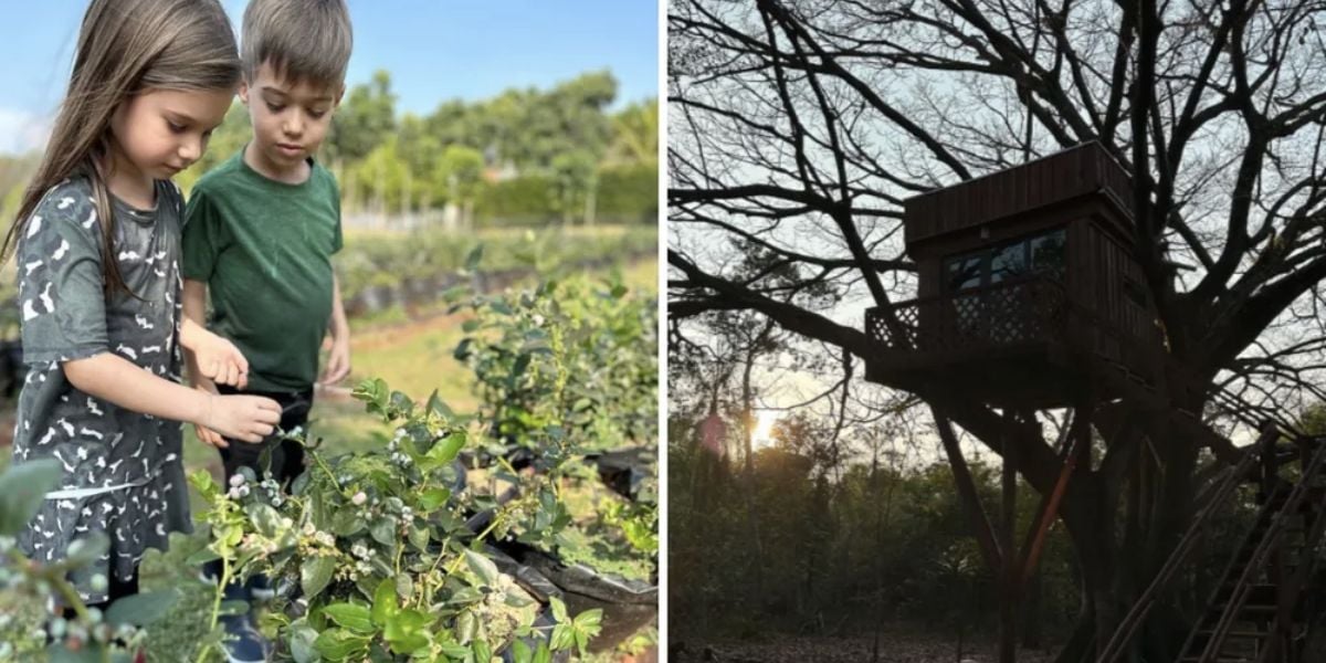 Horta e casa na árvore da fazenda de Teló (Reprodução/Internet)
