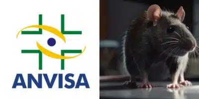 Imagem PreCarregada
