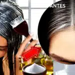 Cabelos grisalhos podem ser eliminados com essa receita caseira (Foto Reprodução/Montagem/Lennita/Tv Foco)