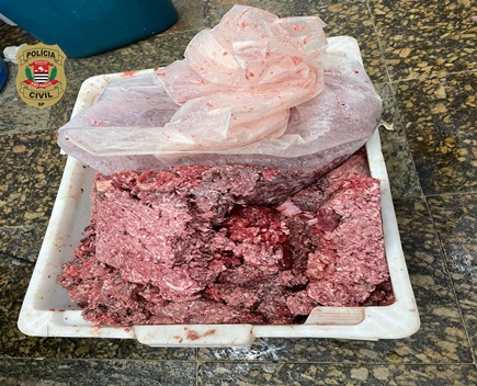 Carne estragada apreendida pela polícia civil após investigação da Vigilância Sanitária (Foto: Divulgação)