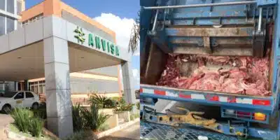 Gigantes das carnes são desmascarados por nojeira e acabam proibidos por decreto da ANVISA - Foto: Montagem