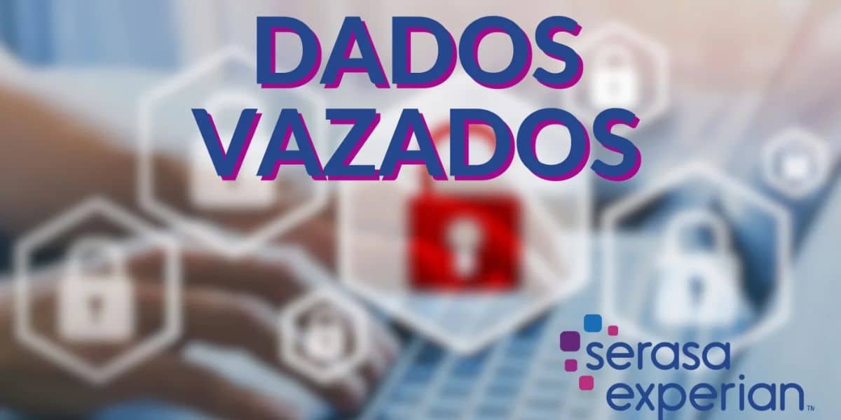 Serasa acabou vazando os dados de milhões de brasileiros (Reprodução: Internet)
