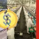Falência da gigante alimentícia, rival da Perdigão (Foto: Reprodução / Canva / Montagem TV Foco)