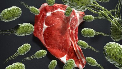 Listeriose, bactéria que aparece em alimentos refrigerados como carnes (Foto: Reprodução / Internet)