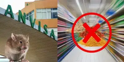 Rato, logo da Anvisa e prateleiras de mercado (Foto: Reprodução / Canva / Montagem TV Foco)