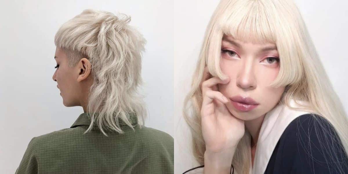 Mullet e Hime Cut (Reprodução/Internet)