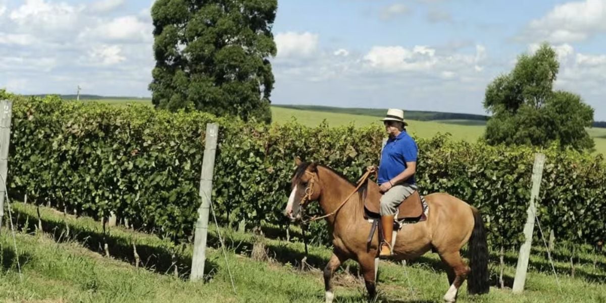 Comentarista é dono de fazenda milionária (Reprodução/Internet)