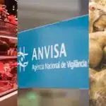 Açougue / Logo Anvisa / Foto de ratos - Montagem Canva