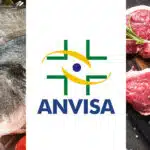 Anvisa - Peixe e Carne (Foto: Reprodução, Montagem - TV Foco)