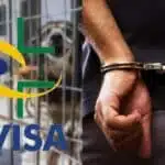 Anvisa lacra varejista tradicional de carnes (Foto: Reprodução/ Montagem - TV Foco)
