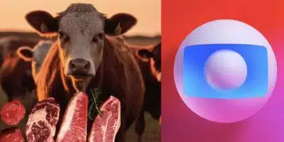 Bois, carnes e logo da Globo (Fotos: Reproduções / Freepik / Internet / GloboPlay)